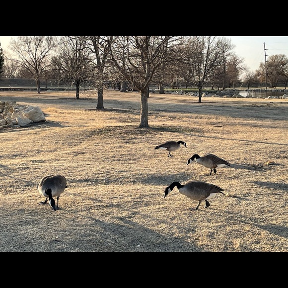 Meet your Posher, Jamimi - Picture 1 of 1